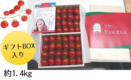 ミニトマト じょんならん モリヒロ園芸 ギフトボックス ミニトマト