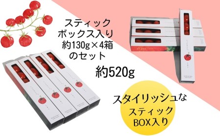 ミニトマト じょんならん モリヒロ園芸 スティック入 ミニトマト