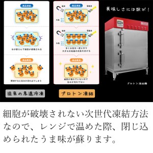  鰻 おこわ セット 8個 うなぎ 鰻蒲焼 白焼き 