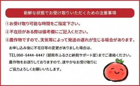 【2027年度予約分】増量約2kg！甘さ抜群!!トマト嫌いでも食べられるトマトベリー 4月～6月発送 野菜ソムリエサミット 金賞 受賞 長田農園 産地直送 トマト とまと 野菜 やさい フルーツ サラダ 濃厚 甘い ご褒美 プレゼント 美容 健康 リピート多数 人気 高評価 数量限定 碧南市 H004-196