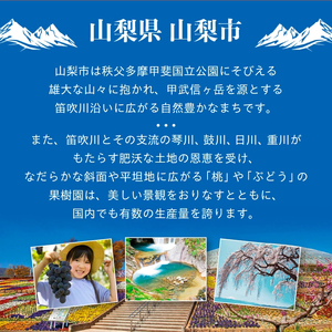 【2026年発送】シャインマスカット 約1kg (1～2房) 朝採り シャインマスカット【配送不可地域：離島・沖縄県】【1299620】