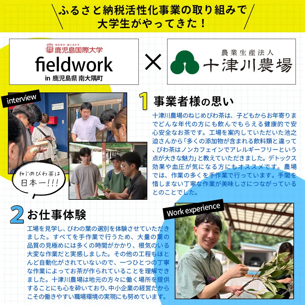 【鹿児島県産】ねじめびわ茶 飲み比べ セット + びわ茶塩飴付き(化粧箱入) TO-406|ねじめびわ茶 ノンカフェイン ティーバッグ ボトル缶 飴 国産 お茶 健康茶 ポリフェノール 無香料 無着色 さわやか 甘み 香ばしい おいしい びわの葉 トルマリン石焙煎 産地直送 ギフト 贈答 鹿児島県 南大隅町 十津川農場