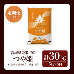 ≪令和8年産≫【6回定期便】つや姫 計30kg (5kg×6回配送) 登米市産 お米 おこめ 米 コメ 白米 ご飯 ごはん おにぎり お弁当 6か月 頒布会【登米ライスサービス株式会社】tm458