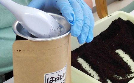 コーヒー コーヒー2種とカップ&ソーサーセット 島根県松江市/山陰家庭学院通所はばたき[ALFV001] コーヒー コーヒー