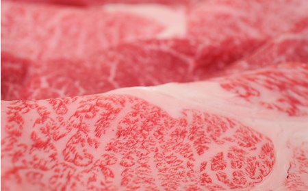 FYN9-867 月山和牛 ロースももすき焼 500g ＆ 月山山麓「月虎」カベルネ・ソーヴィニヨン（赤）720ml セット トラヤ 赤ワイン 山形県 西川町