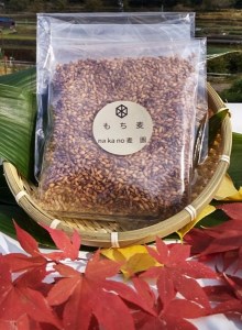 山々と源流の山国町「nakano麦園」の希少な『紫もち麦』ダイシモチ300g×3袋 | 900g 900グラム 紫もち麦 もち麦 麦 ダイシモチ 紫麦 雑穀 穀物 希少 国産 麦ご飯 大分県 中津市