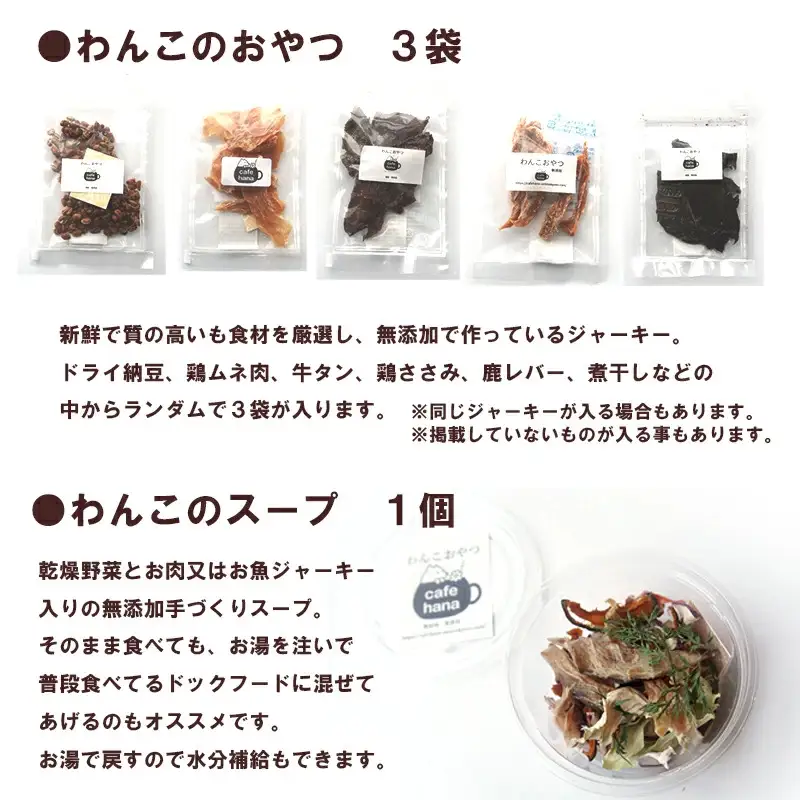 【定期便6回】わんこのお弁当セット Mサイズ