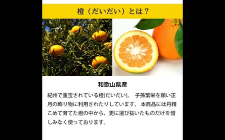 柑橘じゃばらぽん酢　3本セット【入金確定日より、２週間程度で配送】【AV011-fion011】