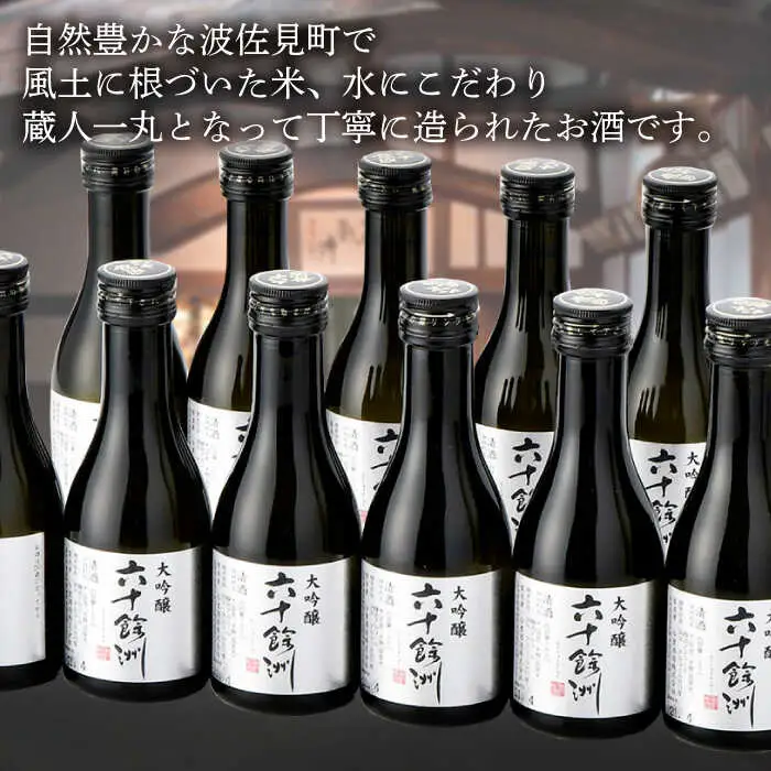 【全6回定期便】六十餘洲 大吟醸 12本 ちょっぴり贅沢 【今里酒造】[SA34]