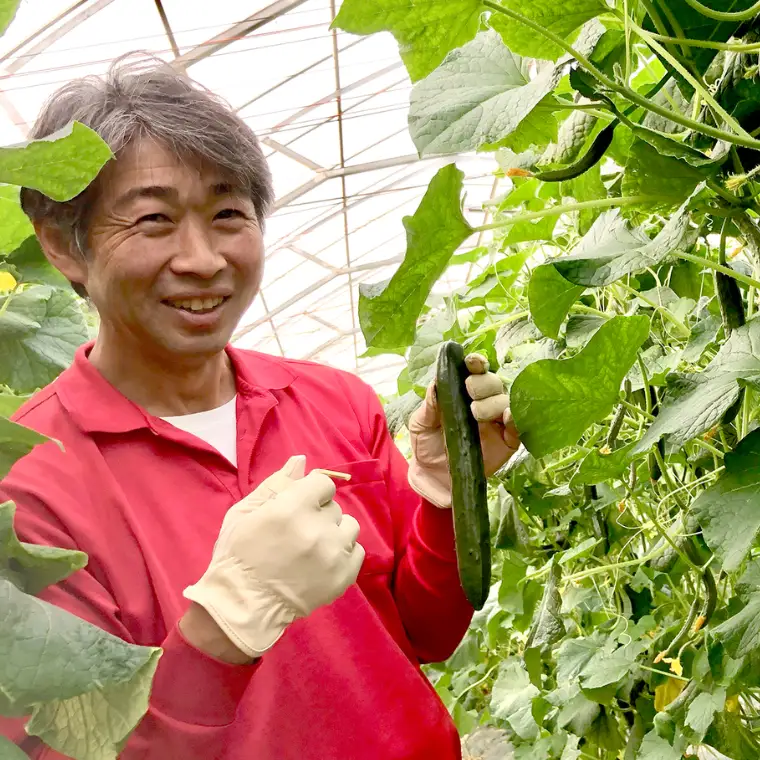 《 2027年 収穫分 》 スーパーフルーツトマト 大箱 約3kg （大玉20〜35玉）＆ 新鮮 きゅうり 約20本 セット 糖度9度以上 先行予約 フルーツトマト ブランドトマト 野菜 ギフト 贈答 [BC062sa]