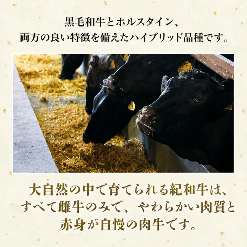 紀和牛焼肉用ロース800g【冷凍】 / 牛  肉 牛肉 紀和牛 ロース  焼肉 焼き肉 800g【tnk126-2】
