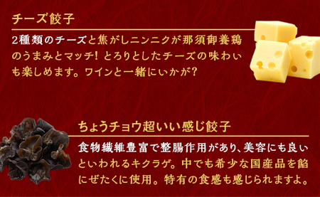【定期便12回】宇都宮餃子 運気アップ餃子 スタミナ餃子（18個×12回　合計216個）【配送不可地域：離島】
