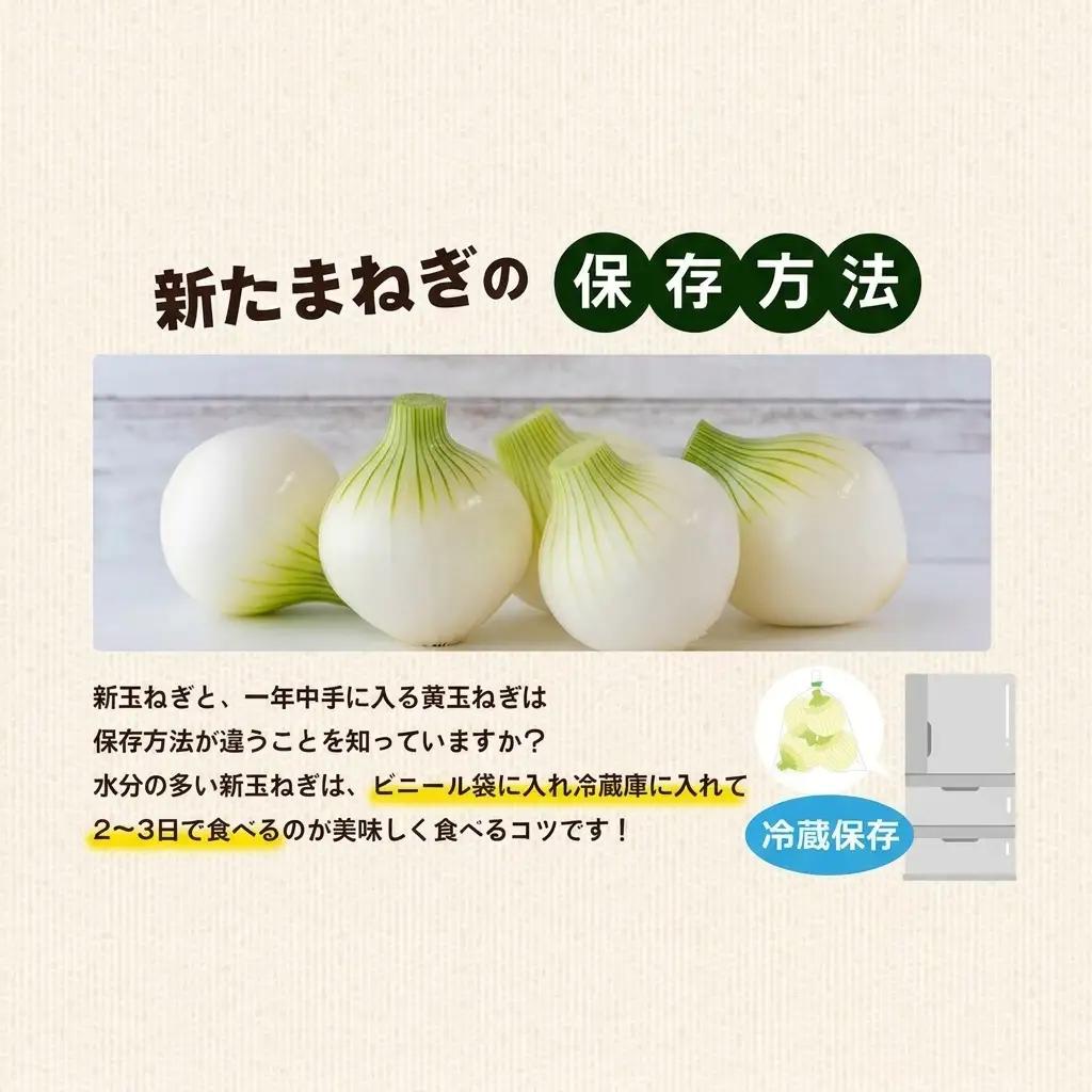 新玉ねぎ 香川県産 令和8年産 新玉ねぎ【約5kg 2L〜M】 【46311146】