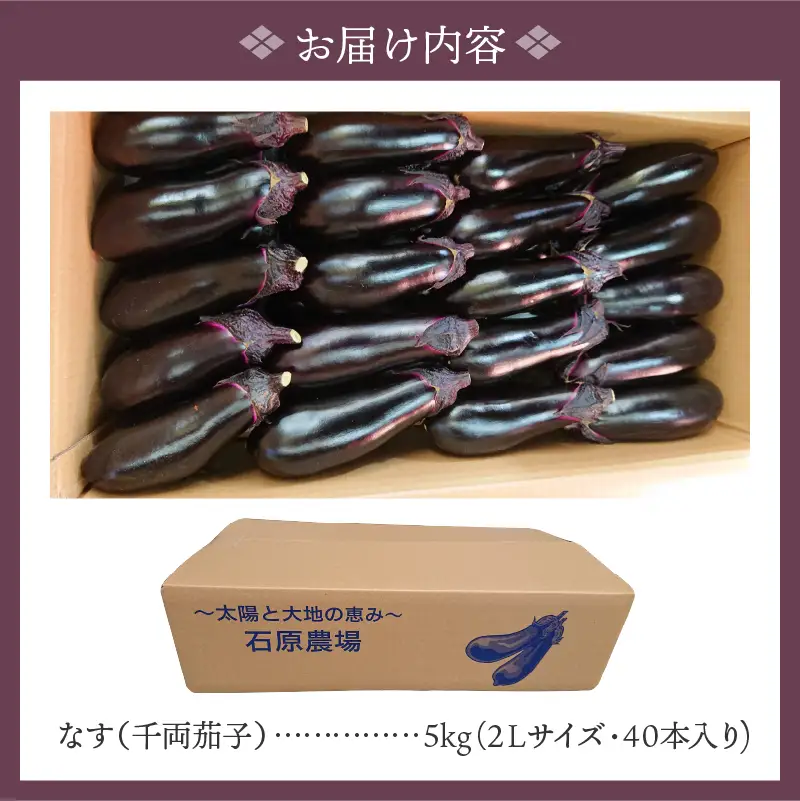 なす(千両茄子) 5kg