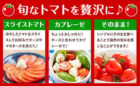 トマト小箱約2kg+ミニトマト小箱約1.5kg食べ比べ野菜新鮮矢畑