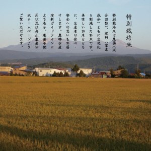 【令和6年産】【定期便】特別栽培米きたくりん 5kg×12回 北海道当麻町 舟山農産 減農薬 低農薬【AB-024】