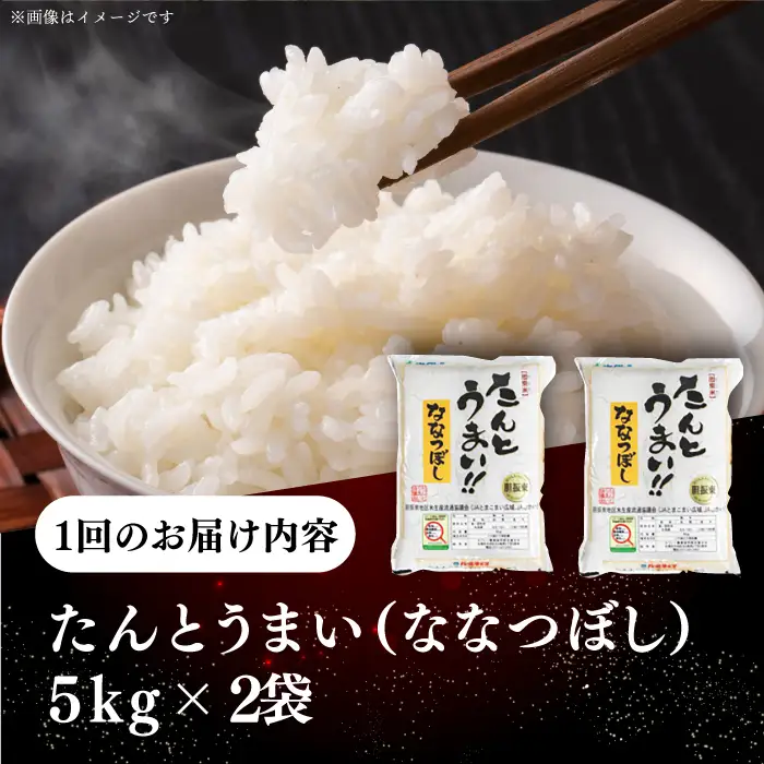 令和7年産 令和8年産 【全6回定期便】ななつぼし [たんとう米] 10kg 米 定期便 6ヵ月 半年 毎月 お米 白米 ご飯 ななつぼし 北海道 [AXAB021]