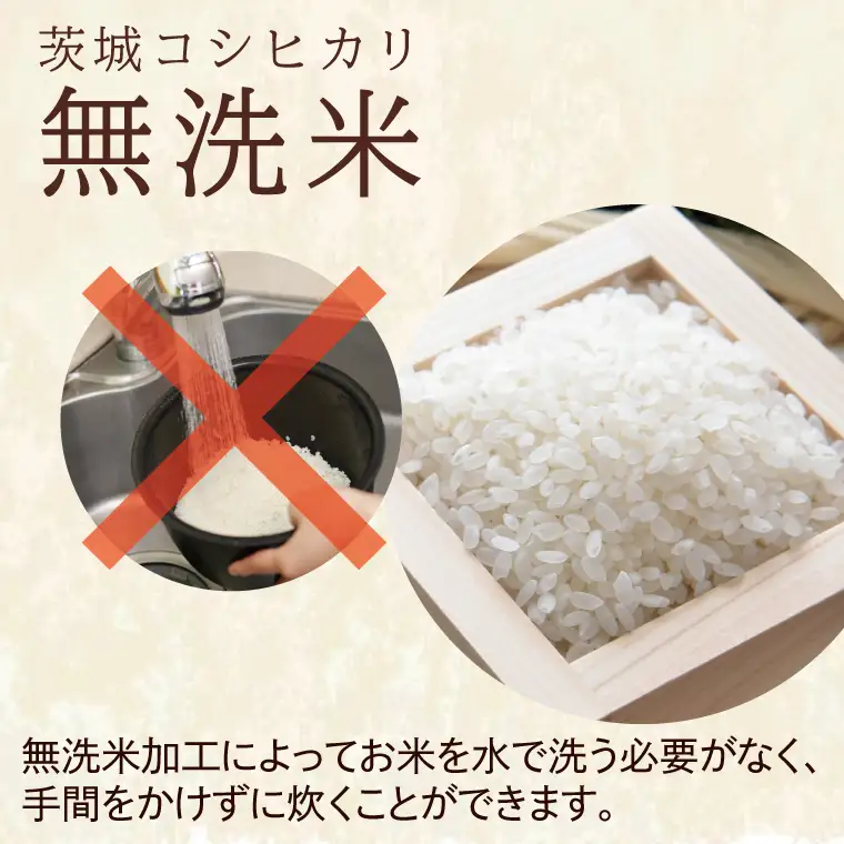 令和7年産 無洗米 茨城 コシヒカリ 10kg (5㎏×２袋)  米 精米 茨城県産_CU002