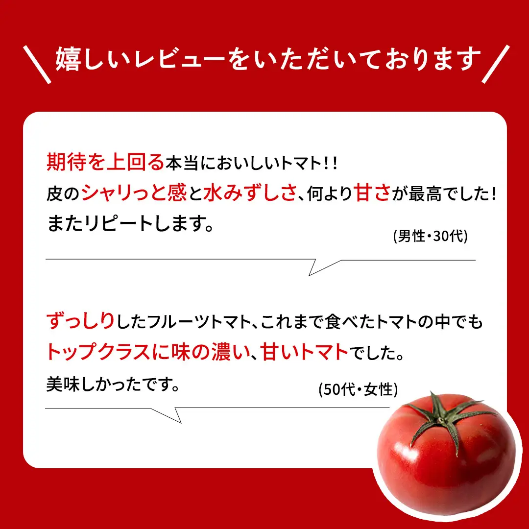 【母の日専用】 スーパーフルーツトマト 大箱 約2.6kg ×1箱 糖度9度以上 《5月3日～9日お届け メッセージカード付》

