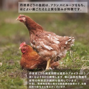 鶏肉 丹波赤どり つくね 1kg（25g×40個） 訳あり鶏肉