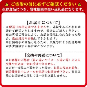【予約受付中】鹿児島県産いちご！愛情たっぷりさがほのか 計1kg(250g×4パック) a5-067