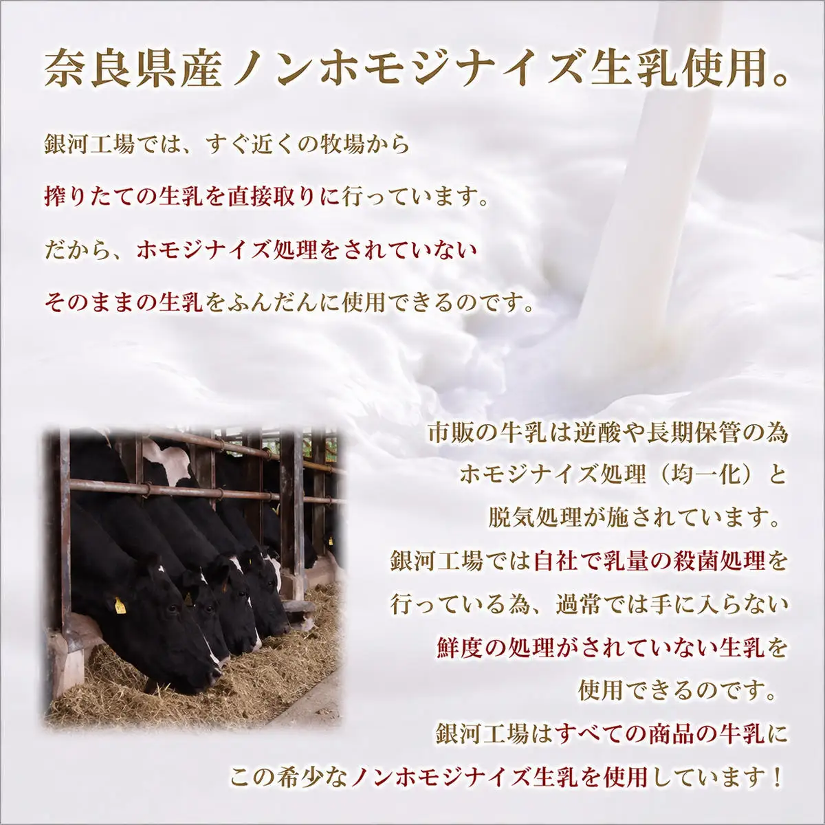 ロールケーキ詰合せ 金魚 出目金 いちご ショコラ ロールケーキ詰合せ【冷凍】