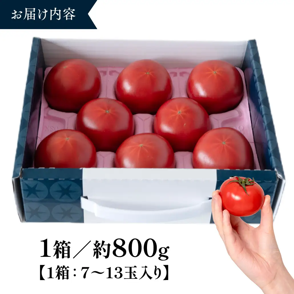 《 2027年 収穫分 》2～6月配送 スーパーフルーツトマト てるて姫 小箱 約800g × 1箱 【7～13玉/1箱】 糖度9度以上 先行予約 フルーツトマト ブランドトマト 野菜 ギフト 贈答 青空レストラン アド街ック天国 グッドモーニング 黄金のワンスプーン 昼めし旅 [BC065sa]