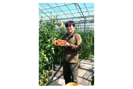 3～4月の期間限定　うまみがぎゅっと凝縮！しぼりトマト 3kg ※着日指定不可《2027年3月上旬-4月末頃出荷予定》