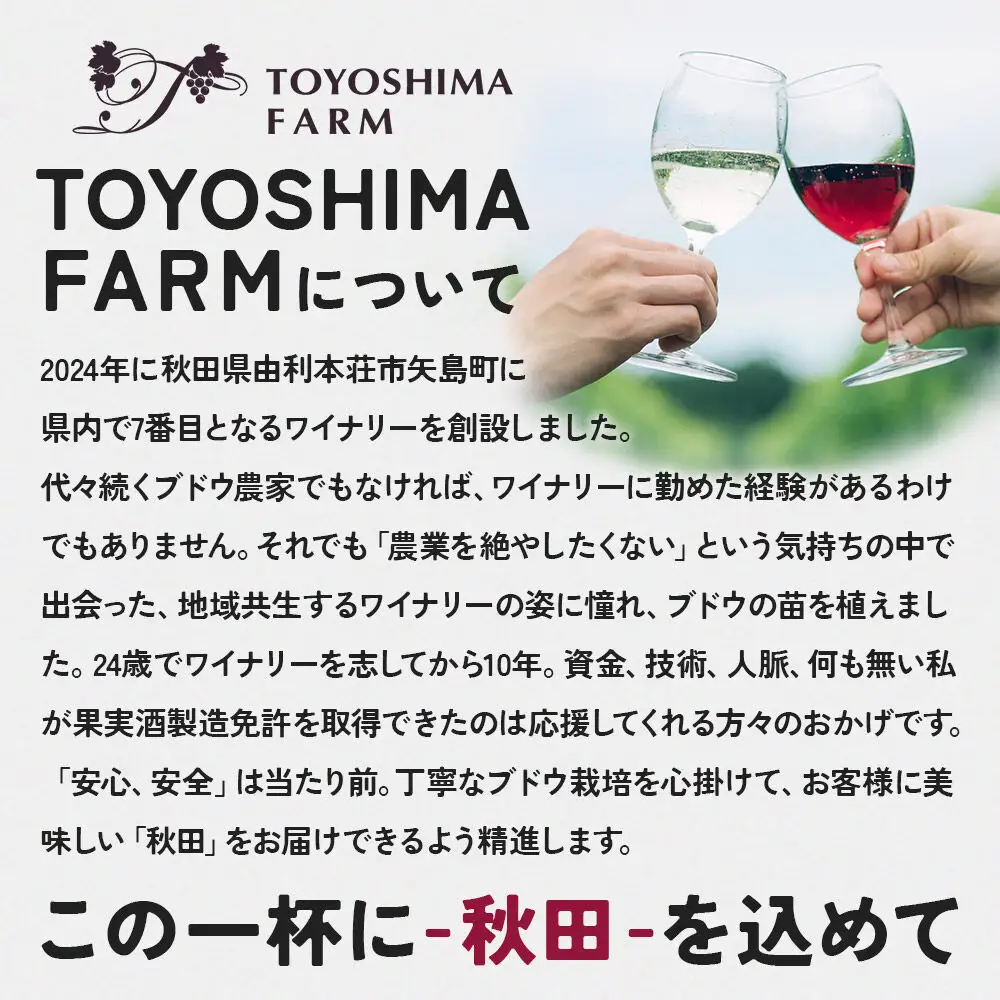 TOYOSHIMA FARM  ワイン用ブドウ100％のブドウジュース 500ml [ぶどうジュース ブドウジュース 果汁100％ジュース ジュース]