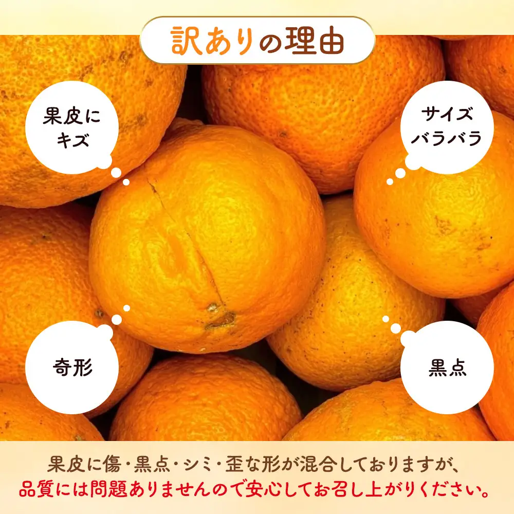 不知火 訳あり それでも 有田の不知火 箱込 10kg (内容量約 9.2kg) サイズミックス和歌山県産 産地直送［みかんの会］