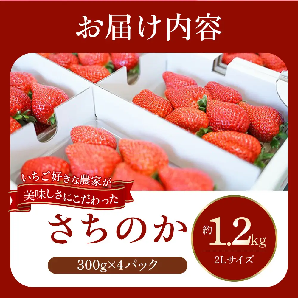おいしさにこだわった いちご 苺 さちのか 300g × 4パック 合計 1.2kg 2L サイズ 江川農園