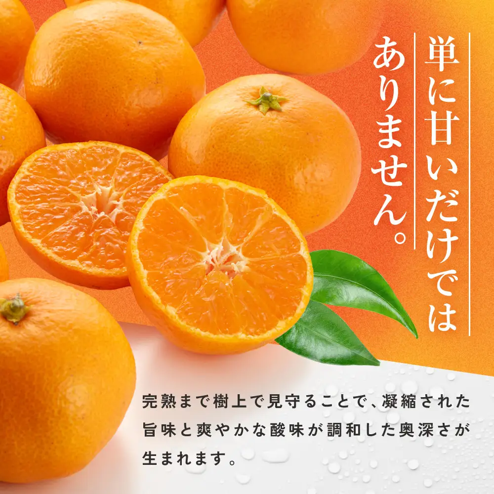 ［秀品]有田のブランド「賢みかん」10kg(Sサイズ)［2026年11月中旬頃より順次発送］