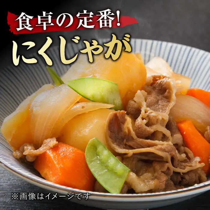 佐賀牛 切り落とし 肩orバラ 計1kg きりおとし ブランド牛[FDB007]