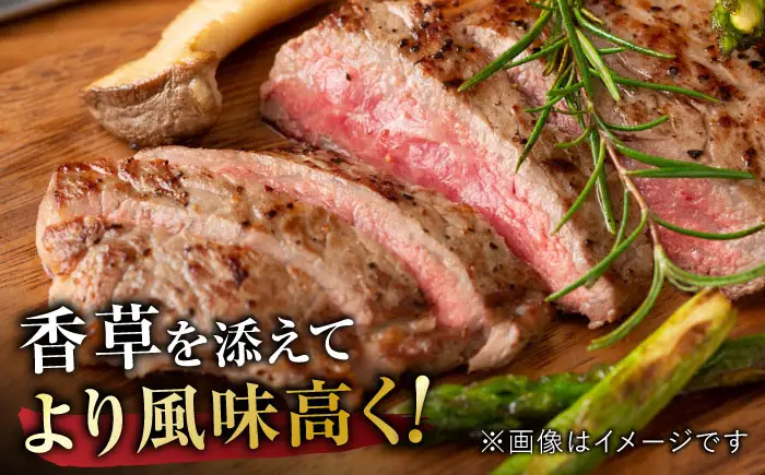 佐賀牛 サーロインステーキ 500g 黒毛和牛ステーキ[FDB010]