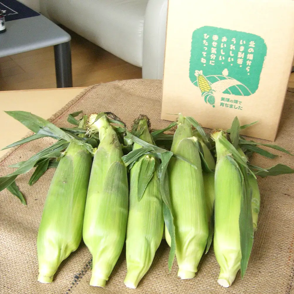 【令和9年産 先行予約】とうもろこし 雪の妖精 ほしつぶコーン 各6本 計12本 とうもろこし 北海道 スイートコーン