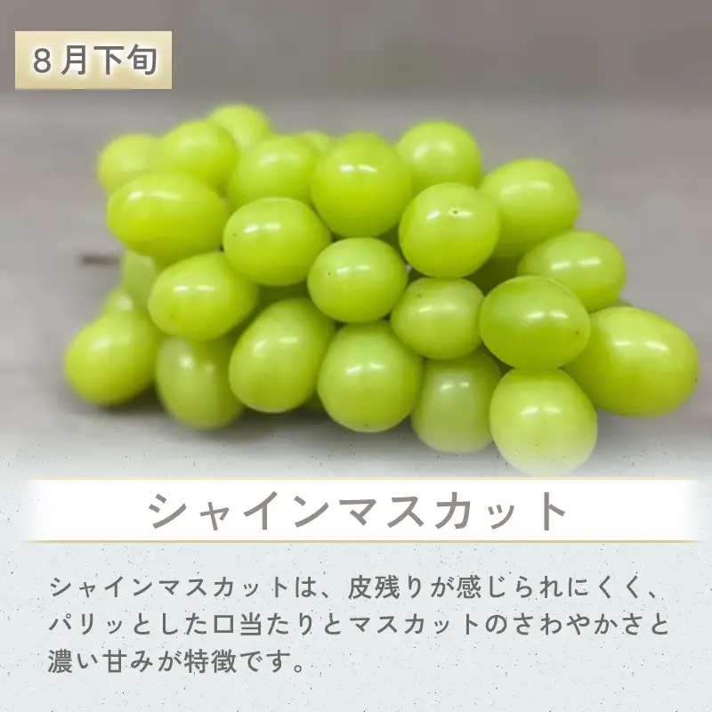 D-973 益田市特産フルーツギフト4種【四季】