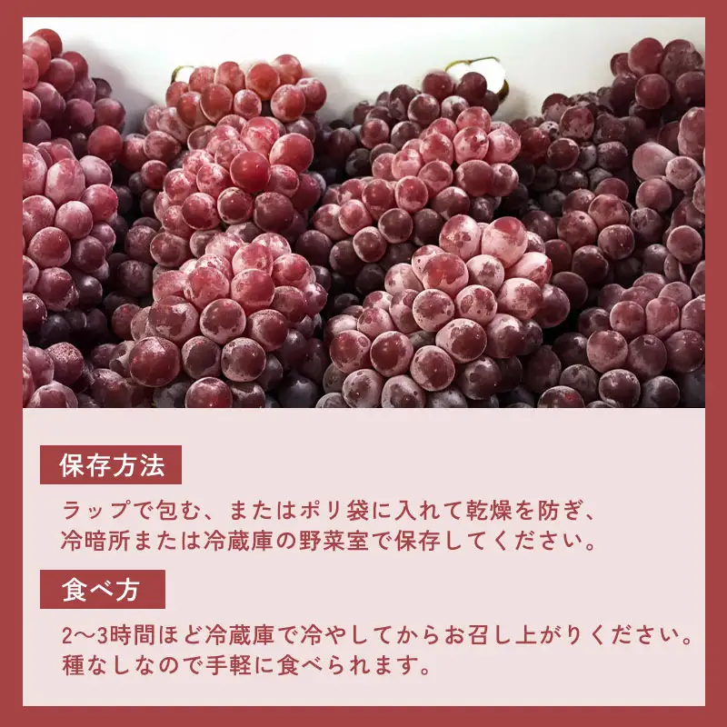 C-544 待ちきれないデラウエア 2kg