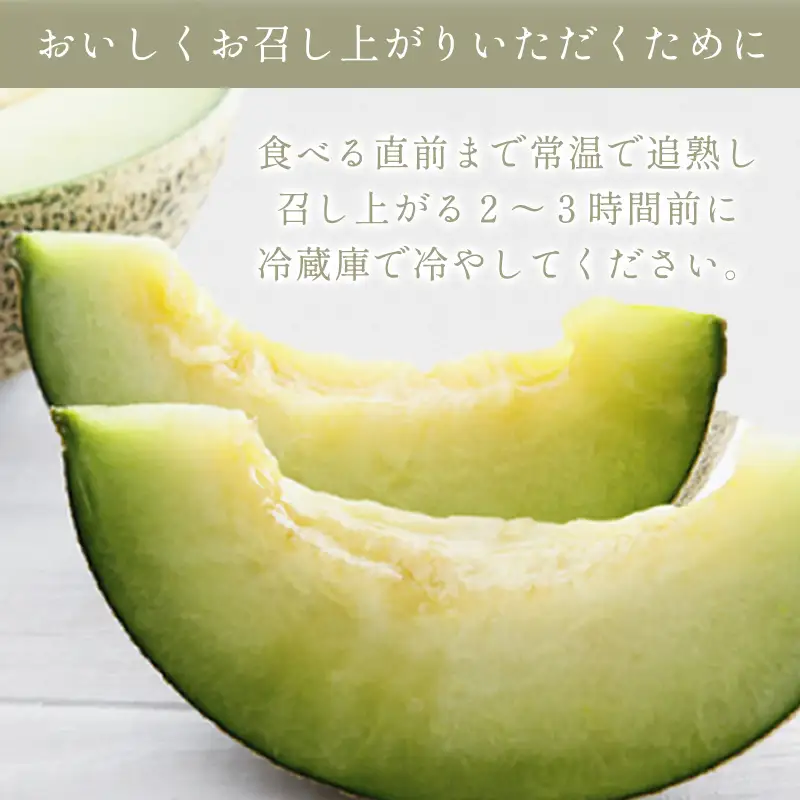 B-190 糖度厳選プレミアム アムスメロン 2玉