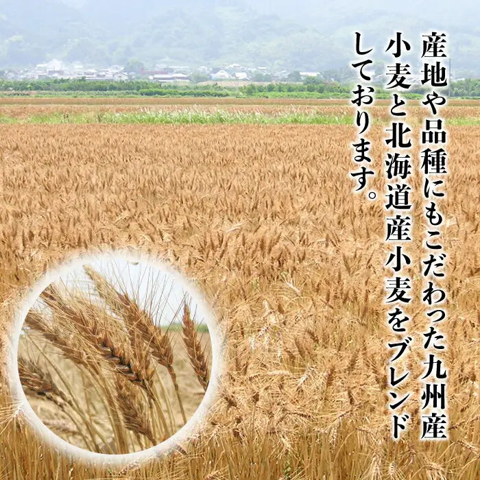 山道そうめん 50g×45束 [SDC007] そうめん