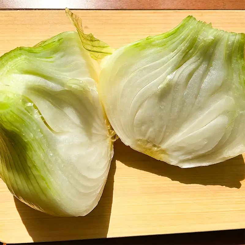 形や大きさより味にこだわった玉ねぎ (10kg) 有機肥料 たまねぎ 玉ねぎ オニオン 甘七宝甘70 ソニック 野菜 食品 F20E-936