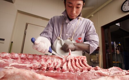 【 ノーベル 】 夢味ポーク ステーキ セット お肉 牛肉 ロース ヒレ ステーキ 