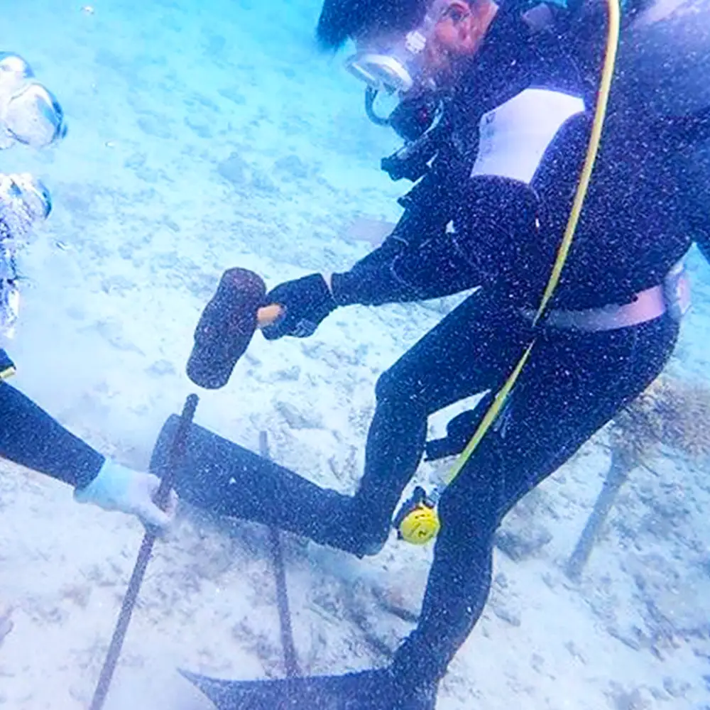 ボートで行く！ファンダイビング（2Dive）｜ダイビングレッスン ダイビングチケット ダイビング体験 沖縄ダイビング