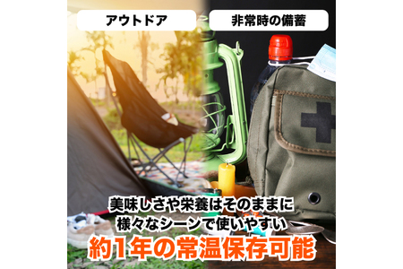 KGGフィッシュプロテインバー かつおたんぱっくん 10個 
