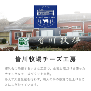 チーズ 皆川牧場 詰め合わせ 4種 セット 食べ比べ 人気 話題 冷蔵 モッツァレラチーズ リコッタ カチョッタ スカモルツァ ナチュラルチーズ 熟成 手作り 生乳 牧場直送 ご当地 ギフト 贈答 ミルク おつまみ デザート パスタ ピザ 前菜 おつまみ 乳製品 船橋市 千葉県