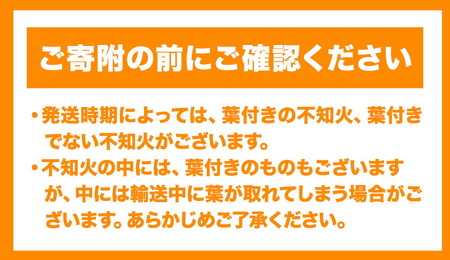超完熟しらぬい 2kg 不知火 しらぬい