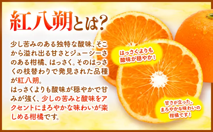 紅八朔 約10kg はっさく