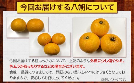【ふるさと納税】【先行受付】樹上完熟 紅はっさく 約10kg S～2L 家庭用 サイズ混合