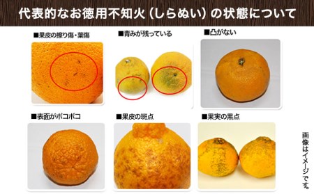 完熟 不知火 ( デコポン )と同品種 約10kg S～2L 家庭用 サイズ混合 横川果樹園 