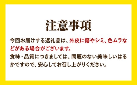 はるか 約7kg S～2L 家庭用 サイズ混合 横川果樹園 
