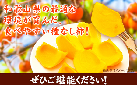 ご家庭用 和歌山産 たねなし柿 約7.5kg 柿